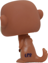 #1376 Meerkat